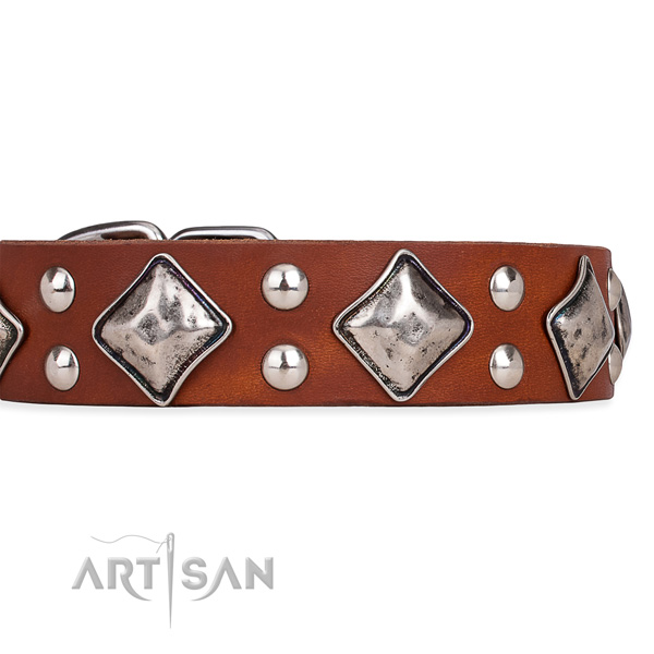 Natural leather dog collar with incredible rust-proof decorations