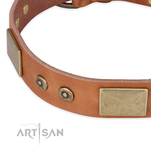 Corrosion resistant studs on full grain genuine leather dog collar for your canine