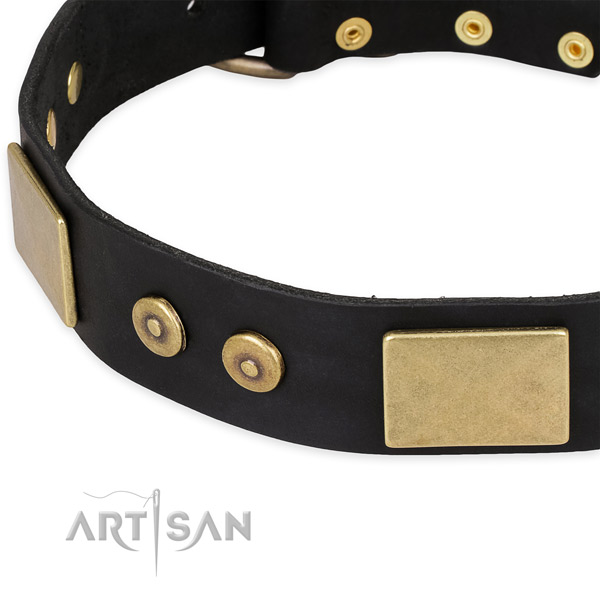 Durable hardware on leather dog collar for your dog