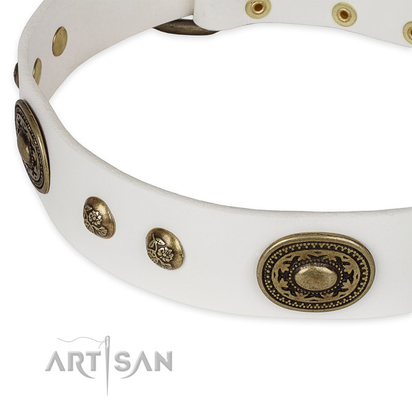 Amazing genuine leather collar for your attractive canine