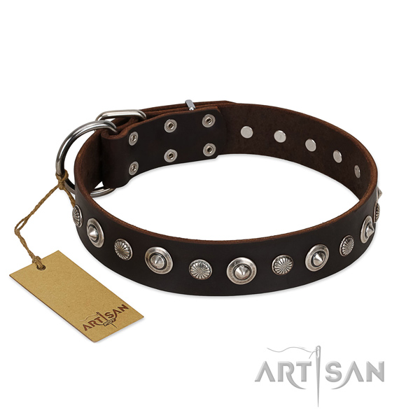 Best quality natural leather dog collar with top notch adornments