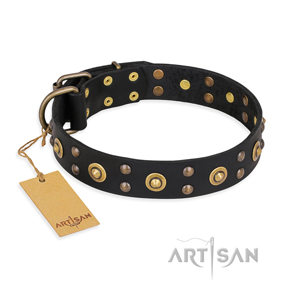 Walking stunning dog collar with rust-proof buckle