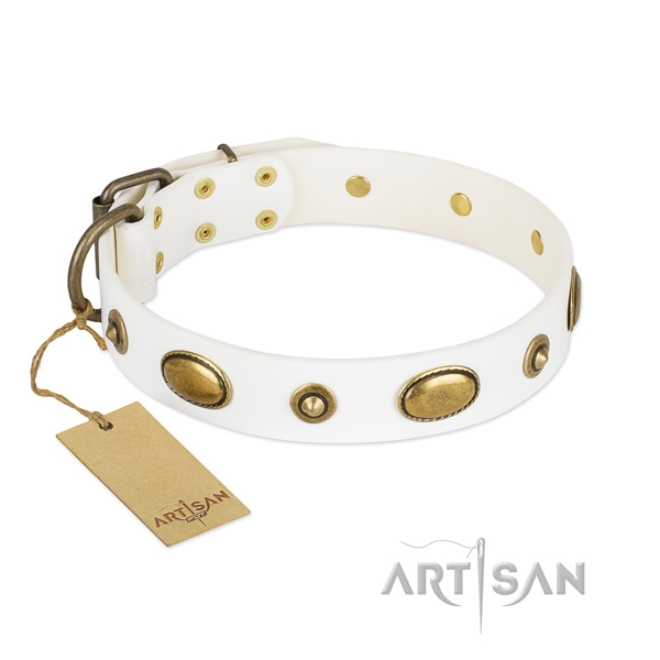 Easy adjustable leather collar for your dog
