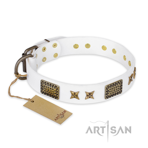 Amazing leather dog collar with rust-proof traditional buckle