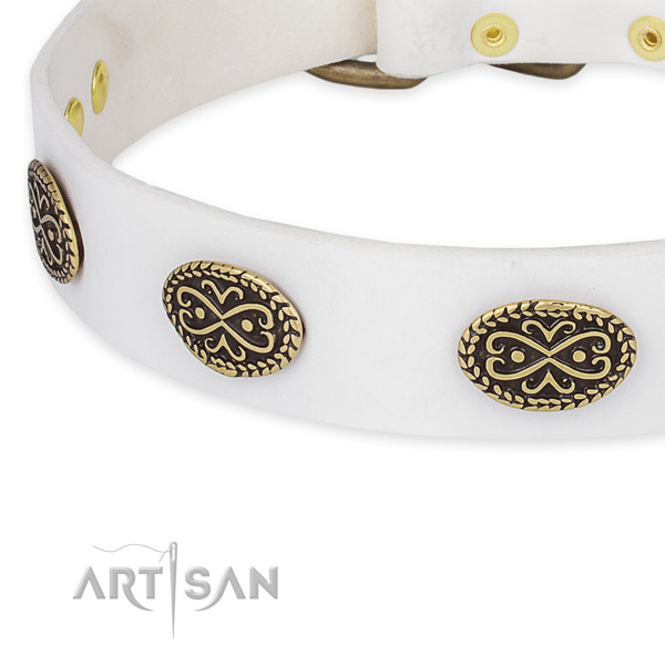 Designer genuine leather collar for your beautiful four-legged friend