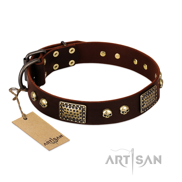 Easy to adjust genuine leather dog collar for walking your doggie