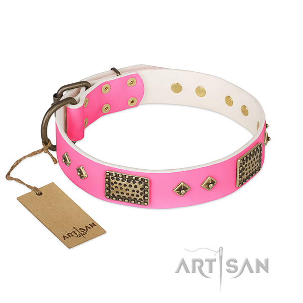 Easy adjustable full grain natural leather dog collar for basic training your dog