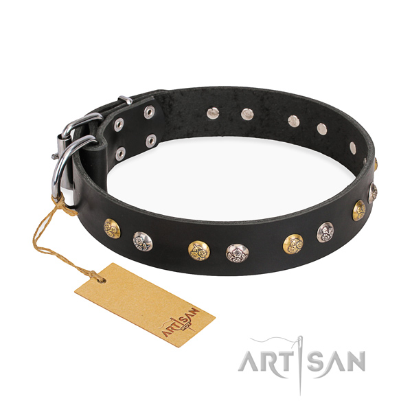Everyday use top quality dog collar with rust-proof buckle