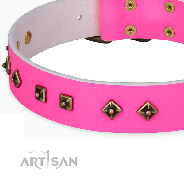 Easy wearing full grain leather collar for your impressive dog