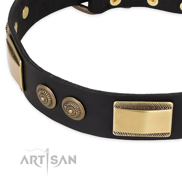 Top notch full grain leather collar for your attractive dog