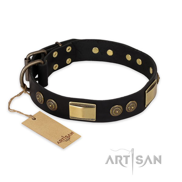 Extraordinary genuine leather dog collar for daily walking