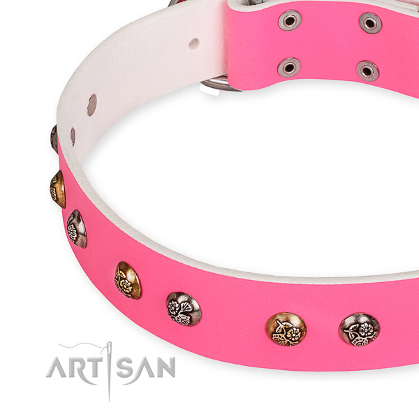 Full grain natural leather dog collar with stylish corrosion resistant studs