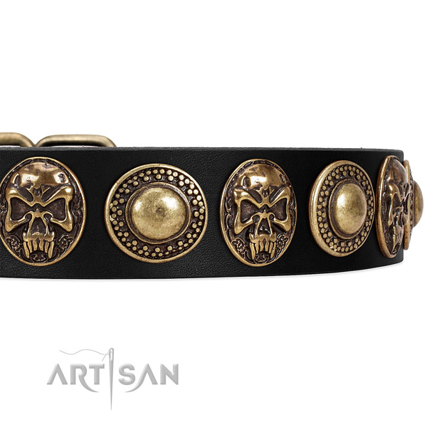 Full grain natural leather dog collar with embellishments for stylish walking