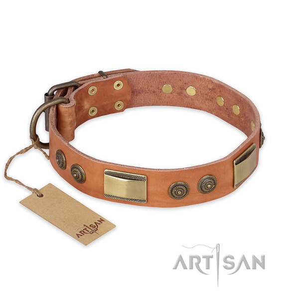 Easy to adjust full grain leather dog collar for fancy walking