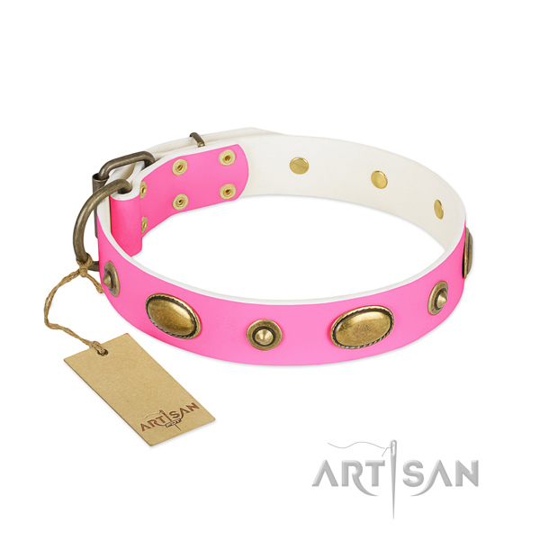 Studded leather collar for your dog