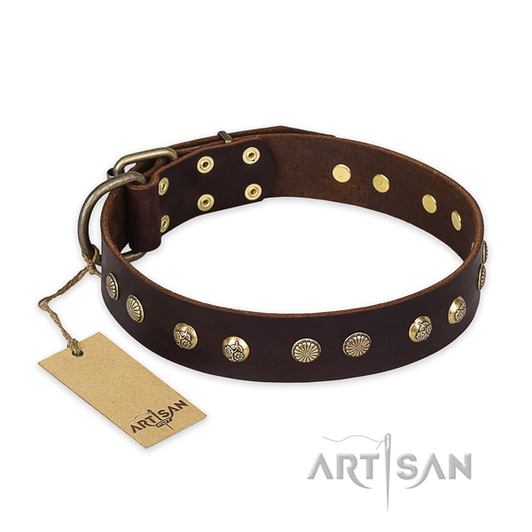 Exceptional full grain natural leather dog collar with rust-proof fittings