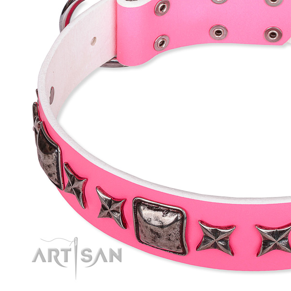 Stylish walking adorned dog collar of strong full grain leather