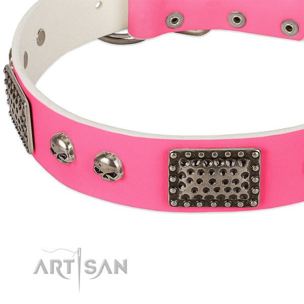 Rust-proof embellishments on leather dog collar for your canine