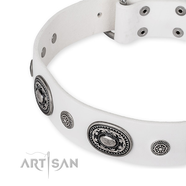 Strong natural genuine leather dog collar crafted for your stylish four-legged friend