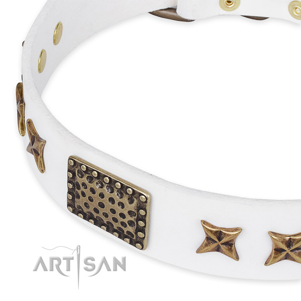 Full grain leather collar with corrosion resistant buckle for your handsome doggie