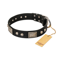 "Pirates Gold" FDT Artisan Black Leather Pitbull Collar with Old Silver Look Plates and Skulls