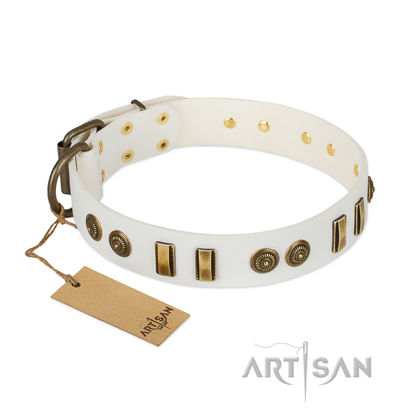 Corrosion proof decorations on full grain natural leather dog collar for your pet