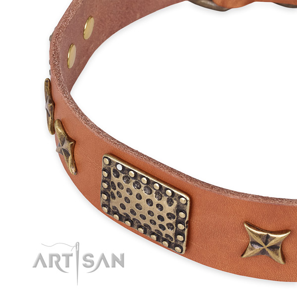 Full grain leather collar with reliable hardware for your lovely canine