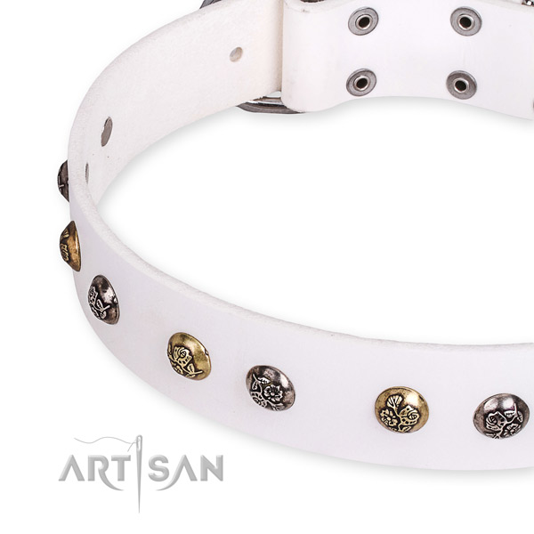 Natural leather dog collar with unique strong studs