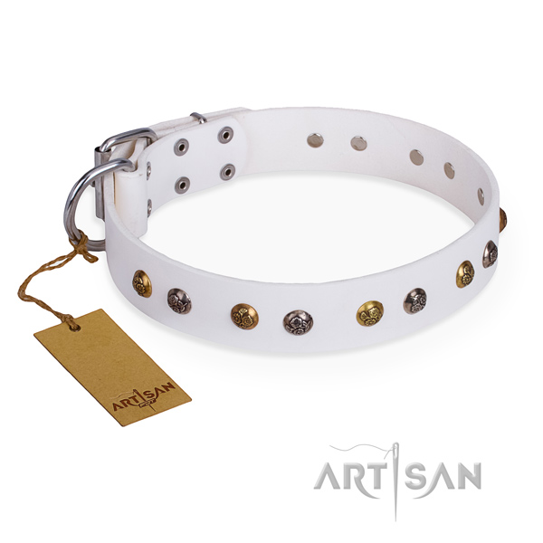 Comfortable wearing extraordinary dog collar with rust resistant fittings