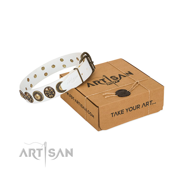 Rust-proof buckle on dog collar for daily walking