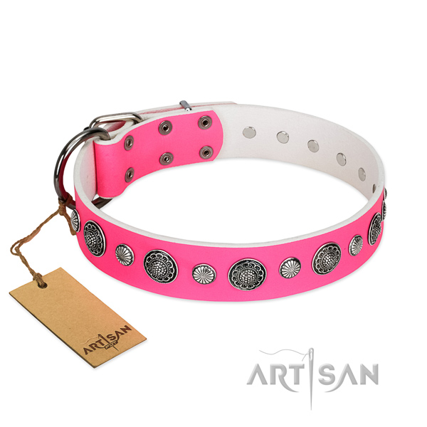 Top notch full grain leather dog collar with corrosion resistant hardware