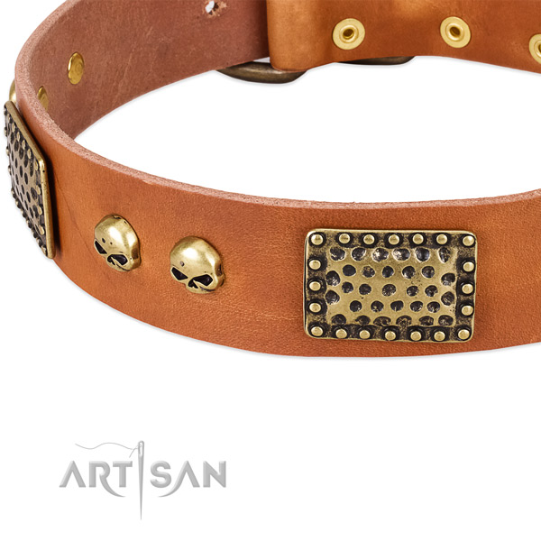 Durable decorations on full grain leather dog collar for your pet