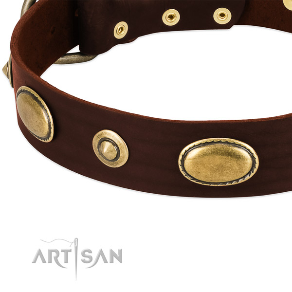 Corrosion resistant decorations on full grain genuine leather dog collar for your pet