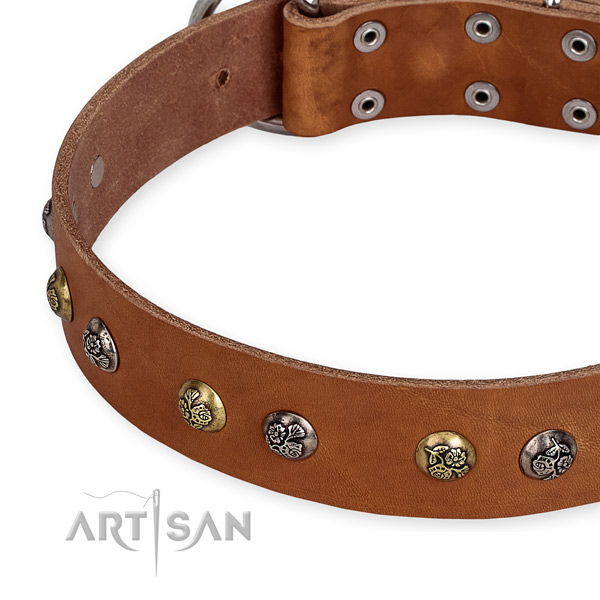 Natural genuine leather dog collar with exceptional corrosion proof embellishments