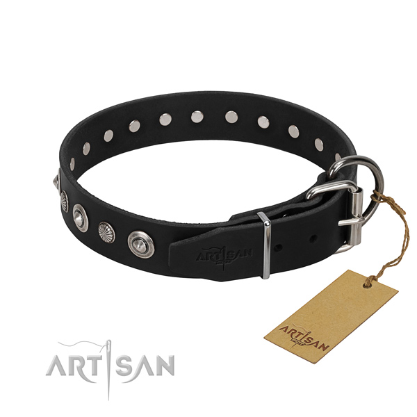 Top quality full grain natural leather dog collar with significant studs