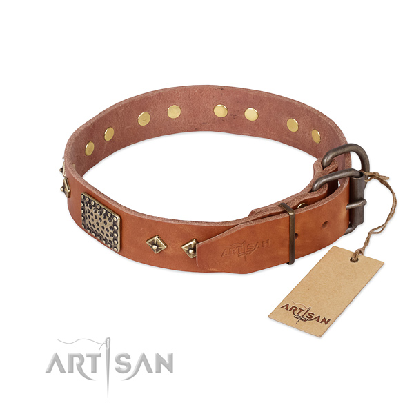 Full grain genuine leather dog collar with reliable fittings and studs
