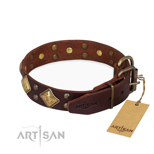 Full grain natural leather dog collar with amazing corrosion proof studs