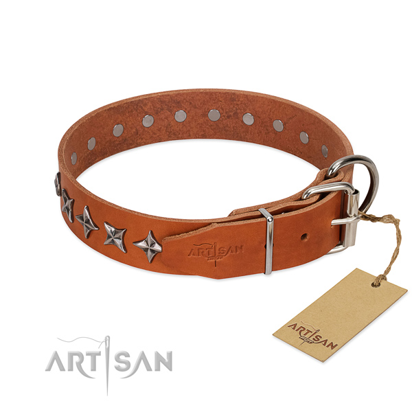 Comfortable wearing studded dog collar of durable full grain leather