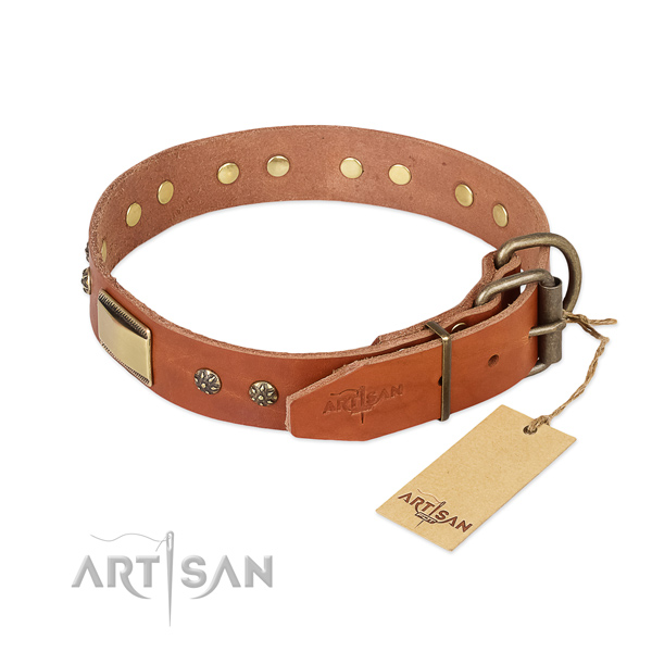 Full grain natural leather dog collar with strong traditional buckle and decorations