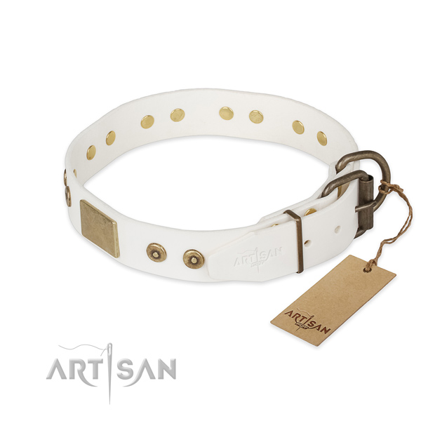 Natural leather dog collar with rust resistant traditional buckle and studs
