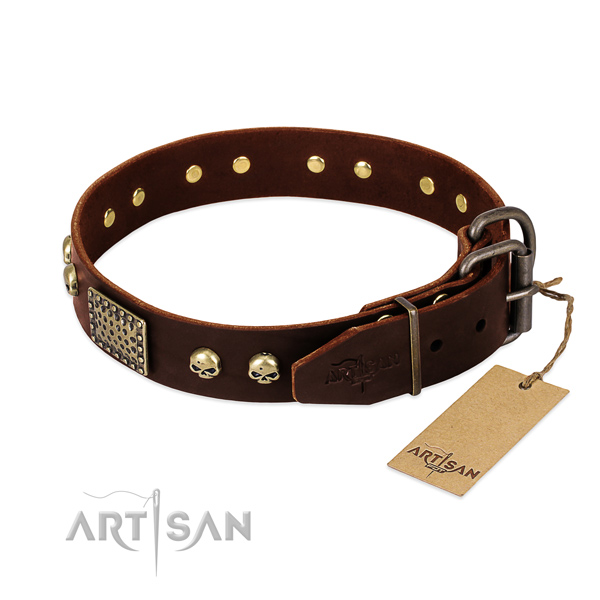 Reliable traditional buckle on basic training dog collar