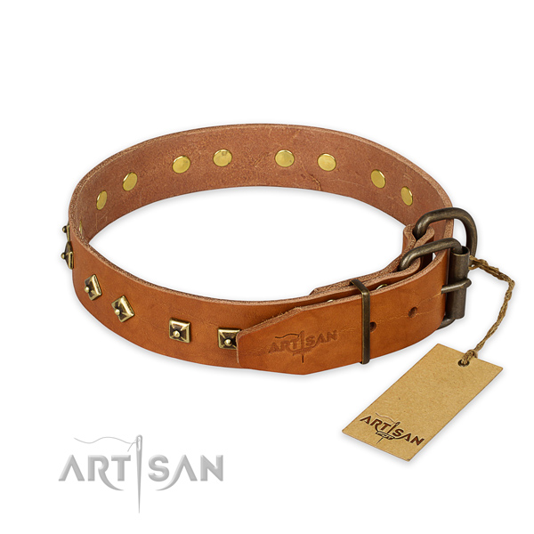 Rust resistant traditional buckle on full grain natural leather collar for basic training your dog