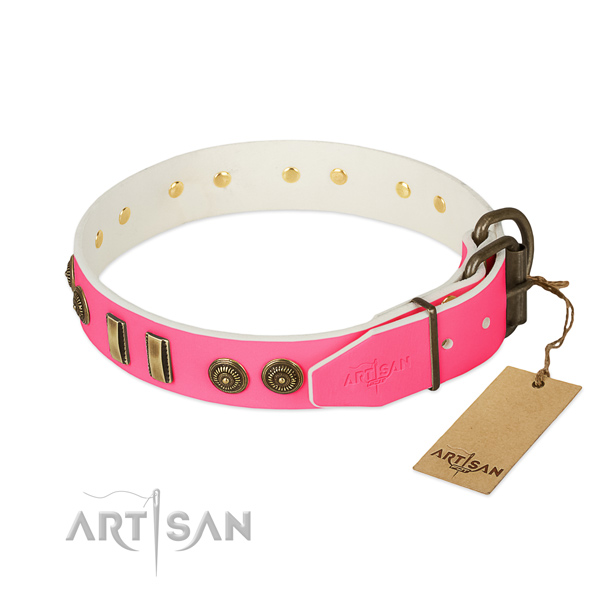 Strong buckle on genuine leather dog collar for your pet