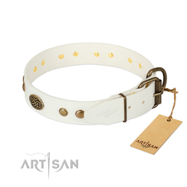Reliable embellishments on natural leather dog collar for your dog