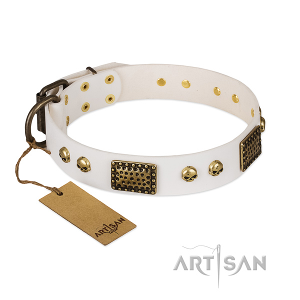 Corrosion resistant studs on daily use dog collar