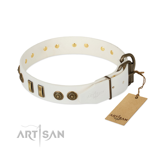 Rust-proof studs on full grain genuine leather dog collar for your canine