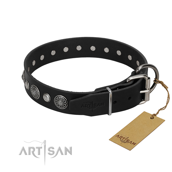 Quality genuine leather dog collar with incredible embellishments