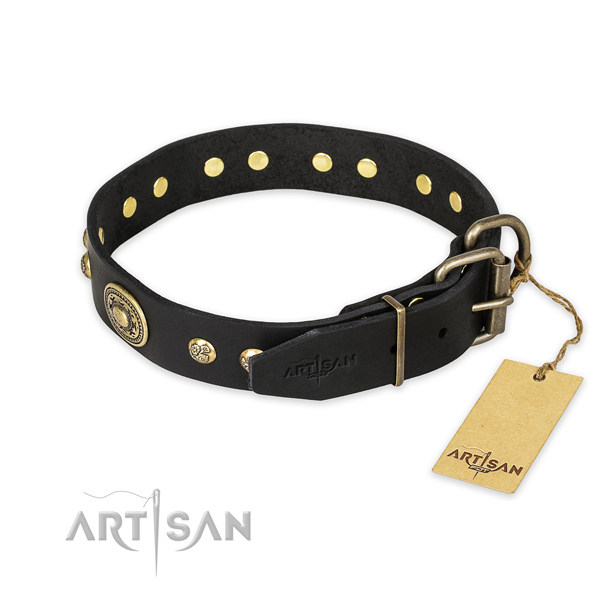Reliable traditional buckle on genuine leather collar for everyday walking your dog