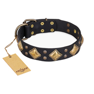 "Fancy-Schmancy" FDT Artisan Studded Leather Pitbull Collar