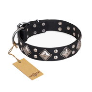 "Smart Geometry" FDT Artisan Studded Leather Pitbull Collar